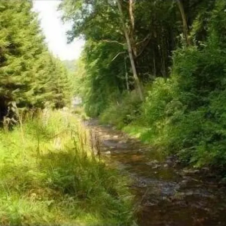 Hotel Le Moulin Simonis Laforêt